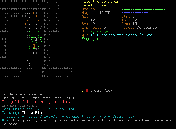 Dungeon Crawl Stone Soup ASCII Art Mode