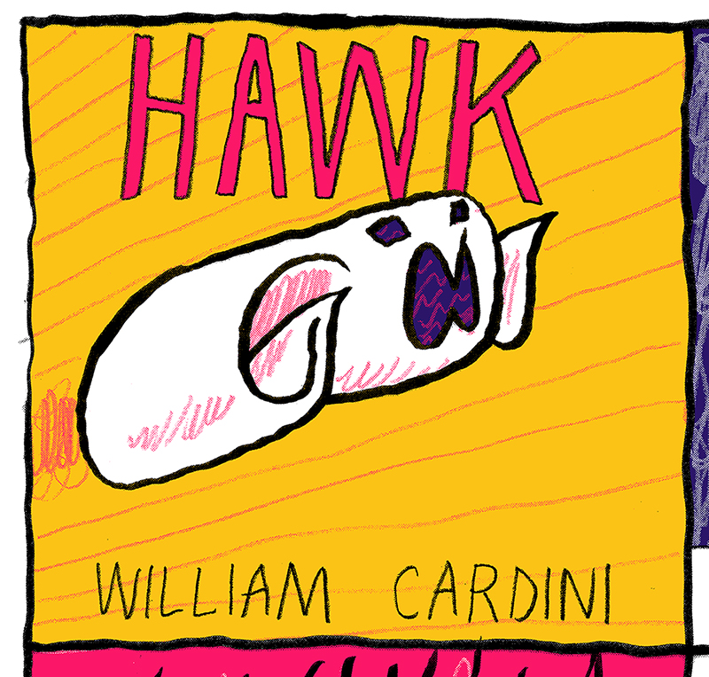 Hawk by William Cardini preview panel